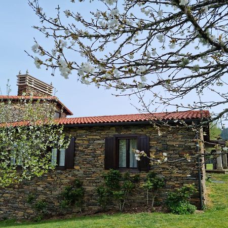 Casa Pro Pantea Villa Monforte De Lemos Exterior photo